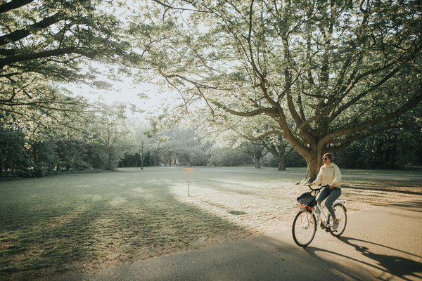 Où peut-on louer une maison de vacances en Toscane avec des cours de peinture et des excursions en vélo?